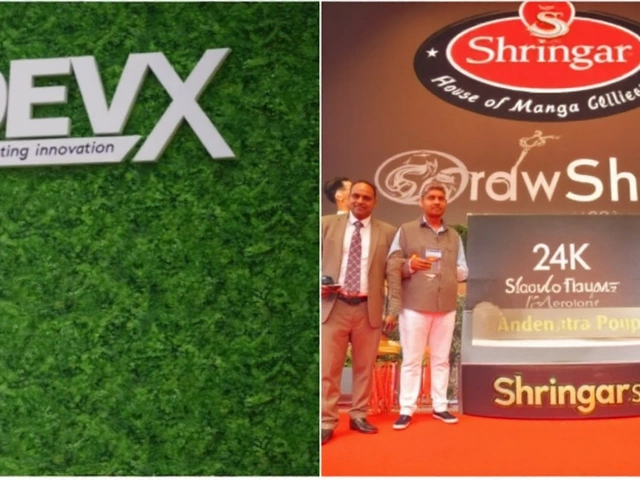 IPO Watch: Shringar House of Mangalsutra and Dev Accelerator ride grey market buzz ahead of Sept 10 opening